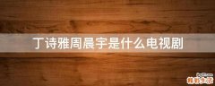 丁诗雅周晨宇是什么电视剧