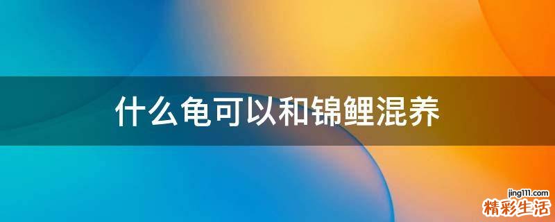 什么龟可以和锦鲤混养