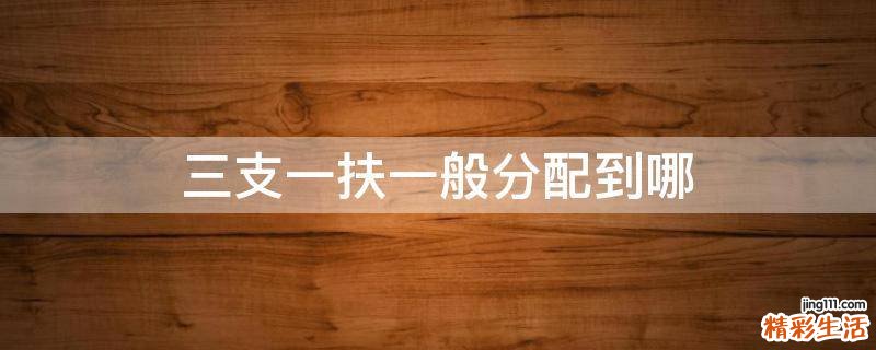 三支一扶一般分配到哪