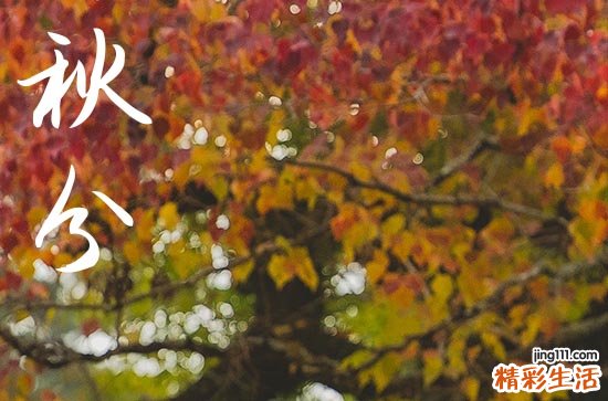 2023年秋分能不能吵架 做个高情商的人吧