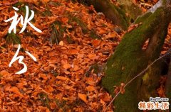 2023年秋分能不能出门 出门要干什么