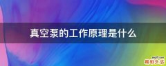 真空泵的工作原理是什么