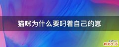 猫咪为什么要叼着自己的崽