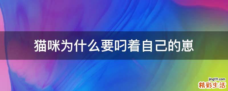 猫咪为什么要叼着自己的崽