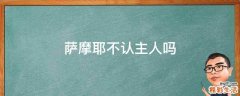 萨摩耶不认主人吗