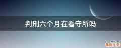 判刑六个月在看守所吗