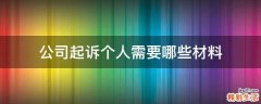 公司起诉个人需要哪些材料