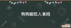 狗狗能吃人食吗