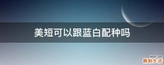 美短可以跟蓝白配种吗