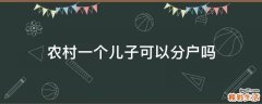 农村一个儿子可以分户吗