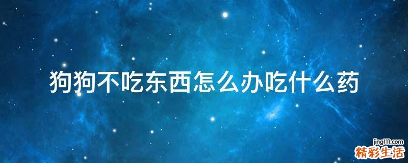 狗狗不吃东西怎么办吃什么药