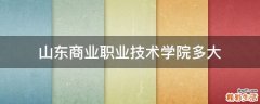 山东商业职业技术学院多大