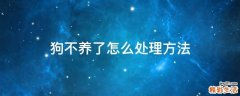 狗不养了怎么处理方法