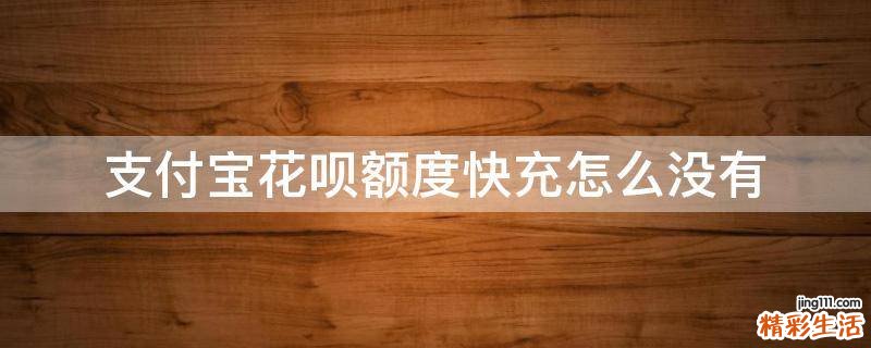支付宝花呗额度快充怎么没有