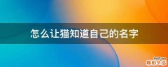 怎么让猫知道自己的名字
