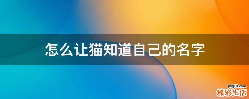 怎么让猫知道自己的名字