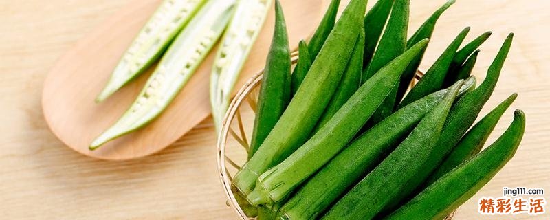 秋葵叶子上布满透明小圆点是什么 秋葵的叶子能吃吗