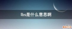 lbs是什么意思啊