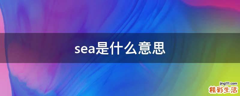 sea是什么意思