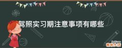 驾照实习期注意事项有哪些