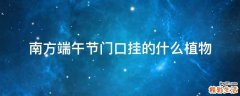 南方端午节门口挂的什么植物