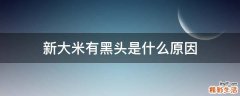 新大米有黑头是什么原因