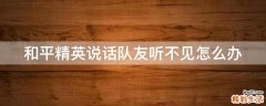 和平精英说话队友听不见怎么办