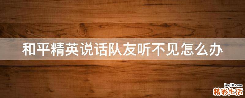 和平精英说话队友听不见怎么办