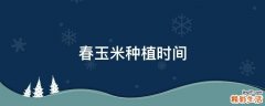 春玉米种植时间