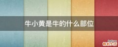 牛小黄是牛的什么部位