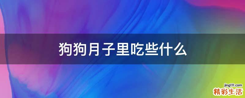 狗狗月子里吃些什么
