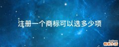注册一个商标可以选多少项
