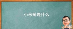 小米辣是什么