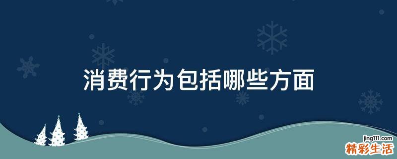 消费行为包括哪些方面