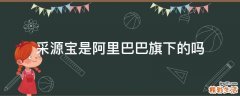 采源宝是阿里巴巴旗下的吗