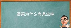 香菜为什么有臭虫味