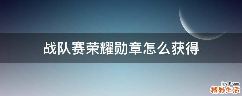 战队赛荣耀勋章怎么获得