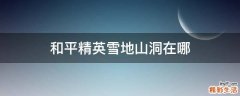 和平精英雪地山洞在哪