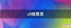 zll啥意思