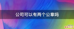 公司可以有两个公章吗