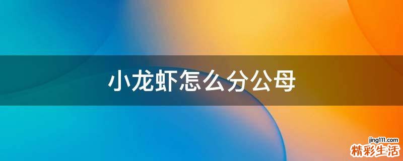 小龙虾怎么分公母