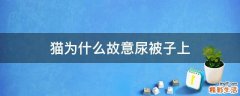 猫为什么故意尿被子上
