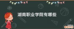 湖南职业学院有哪些