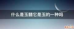 什么是玉髓它是玉的一种吗