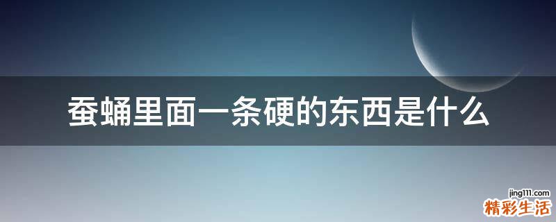 蚕蛹里面一条硬的东西是什么