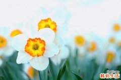 垂直斜视易导致什么并发症