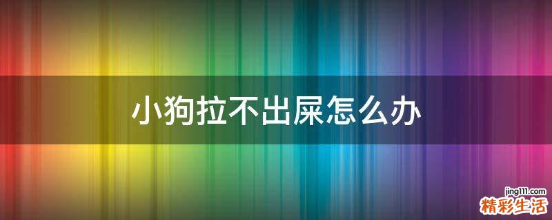 小狗拉不出屎怎么办