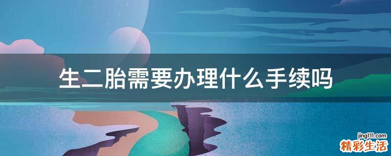 生二胎需要办理什么手续吗