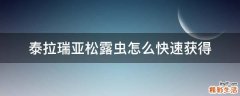 泰拉瑞亚松露虫怎么快速获得