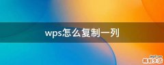 wps怎么复制一列